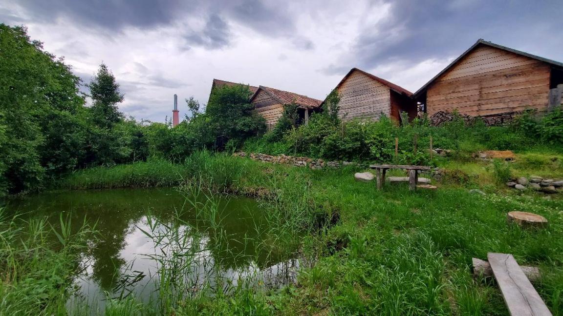 Casa Rustic Feher & Fekete Vendeghazak Sovata Eksteriør bilde